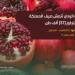 ارتفاع إنتاج الرمان