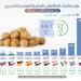 صادرات البطاطس المصرية للموسم التصديري من سبتمبر 2024 إلى مايو 2025