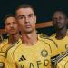 النصر السعودي و«أديداس» يطلقان قميص الموسم بعد تجميده بمكعب ثلجي