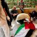 إسرائيل تقتل لاعب منتخب فلسطين السابق محمد شعلان بغزة