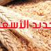 القمح الصلب ب170 دينار واللين ب140 دينار: وزارة الفلاحة تُحدّد أسعار البذور