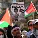 تظاهرة حاشدة في أستراليا دعماً للفلسطينيين
