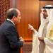 السيسي ومحمد بن زايد يؤكدان ضرورة وقف فوري لإطلاق النار في غزة وتعزيز التعاون الثنائي