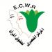 المصري لحقوق المرأة يطلق تقريرا حول قانون العمل الجديد