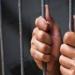 المشدد 5 سنوات لمدير مطعم شهير اختلس منتجات بـ811 ألف جنيه