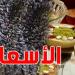 أسعار الزقوقو في نابل