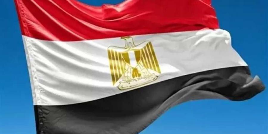 الأجهزة المعنية تنجح في إعادة المصريين المحررين من مناطق الاشتباكات بالسودان لأرض الوطن