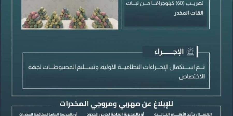 حرس الحدود بجازان يحبط تهريب 60 كيلوجرامًا من القات المخدر