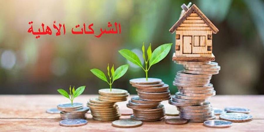 جلسة عمل حول المنصة الرقمية للشركات الاهلية