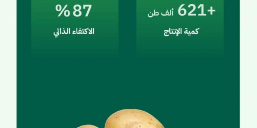 البطاطس في المملكة.. غذاء رمضاني مستدام ونسبة اكتفاء ذاتي وصلت 87%