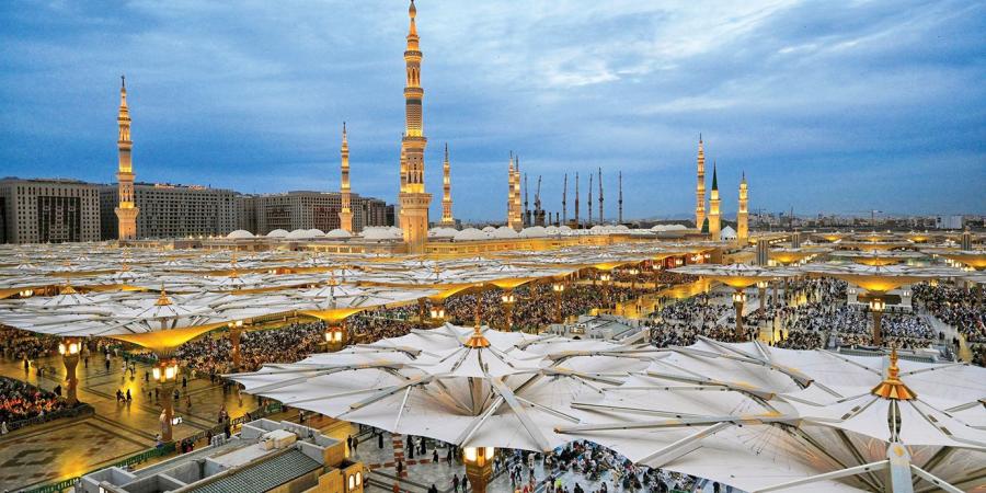 في رحاب المسجد النبوي.. روح التطوع وقيم الخير