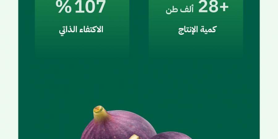 "البيئة": التين المحلي يلبي احتياجات السوق بإنتاج يتجاوز (28) ألف طن سنويًا ونسبة اكتفاء ذاتي (107%)