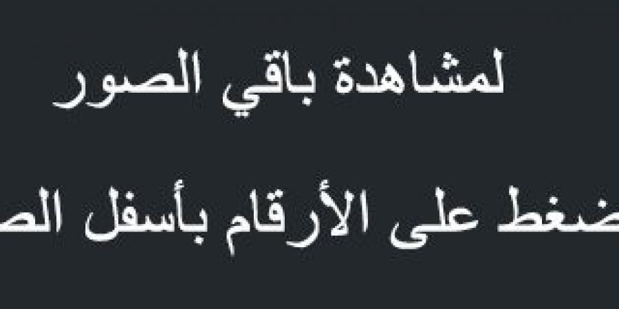 عروض الدانوب خميس مشيط الأسبوعية 19 مارس 2025 الموافق 19 رمضان 1446 رمضان مبارك