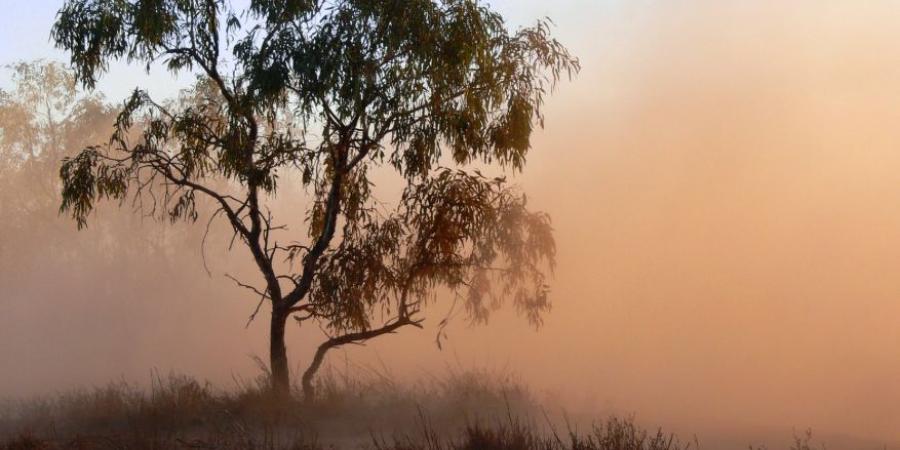 تفسير حلم الغبار في المنام لابن سيرين