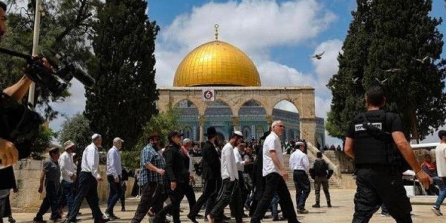 أعداد كبيرة من المستوطنين تقتحم الأقصى وعدوان مستمر في الضفة