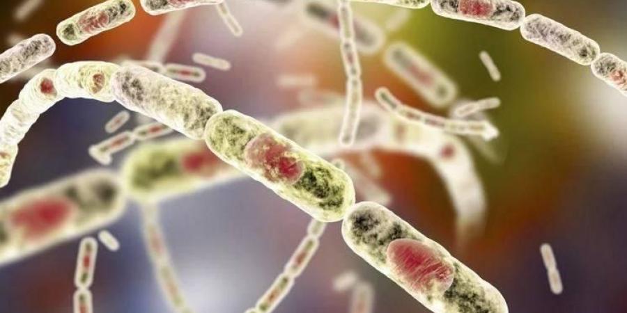 وفاة شخص في تفشٍ للجمرة الخبيثة بالكونغو