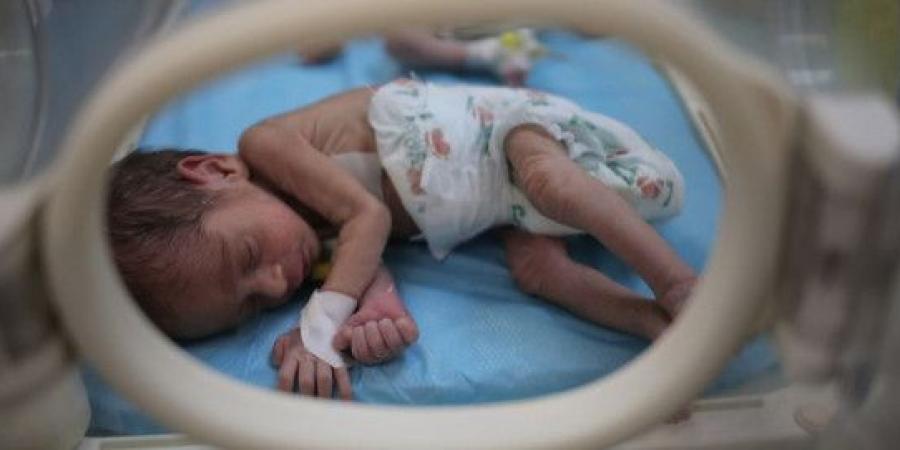 الأمم المتحدة: 92% من الرضّع في غزة محرومون من الغذاء الأساسي