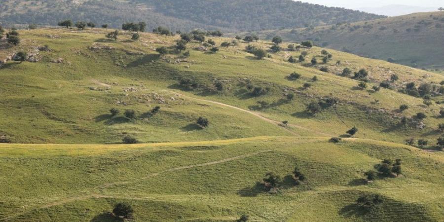 الأرصاد: أجواء ربيعية لطيفة نهار الجمعة وباردة ليلاً