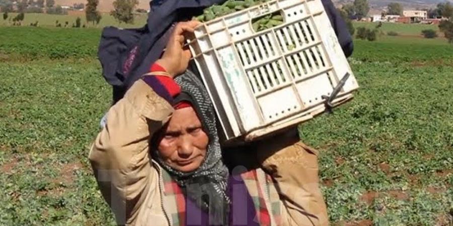 أوضاع صادمة لعاملات الفلاحة : أجور زهيدة، غياب التغطية الاجتماعية