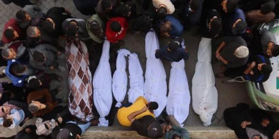 52,495 شهيدا و118,366 مصاباً حصيلة عدوان الاحتلال على قطاع غزة