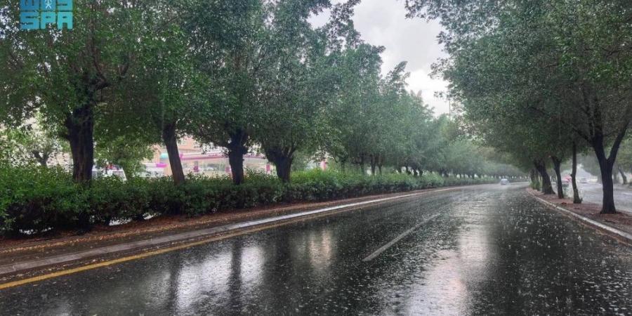 مكة المكرمة الأعلى هطولا للأمطار ب17.6 ملم