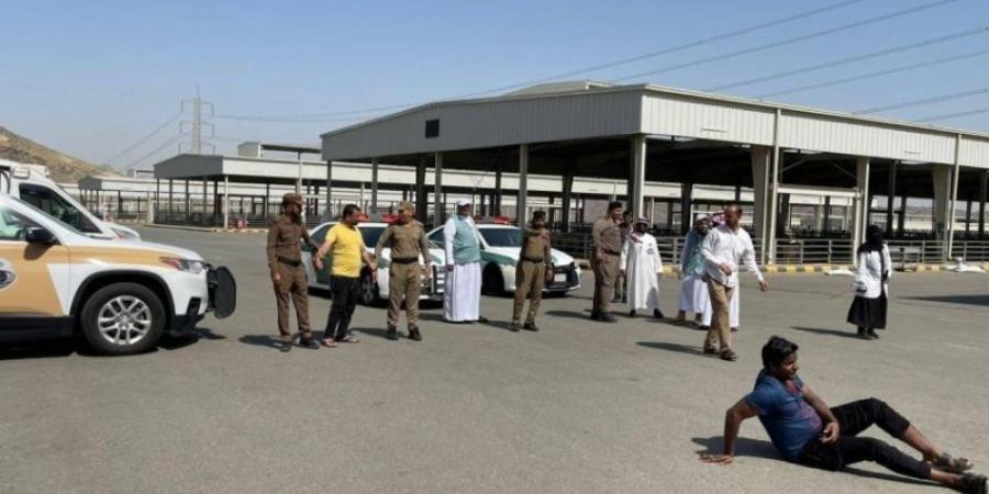 بيئة العاصمة المقدسة تنفذ فرضية تزاحم في سوق المواشي