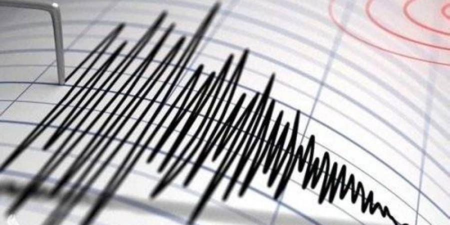 زلزال بقوة 4.8 درجات يضرب قبالة سواحل نيوزيلندا