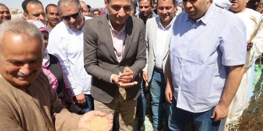 محافظ السويس يفتتح موسم حصاد القمح من قرية الشلوفة  