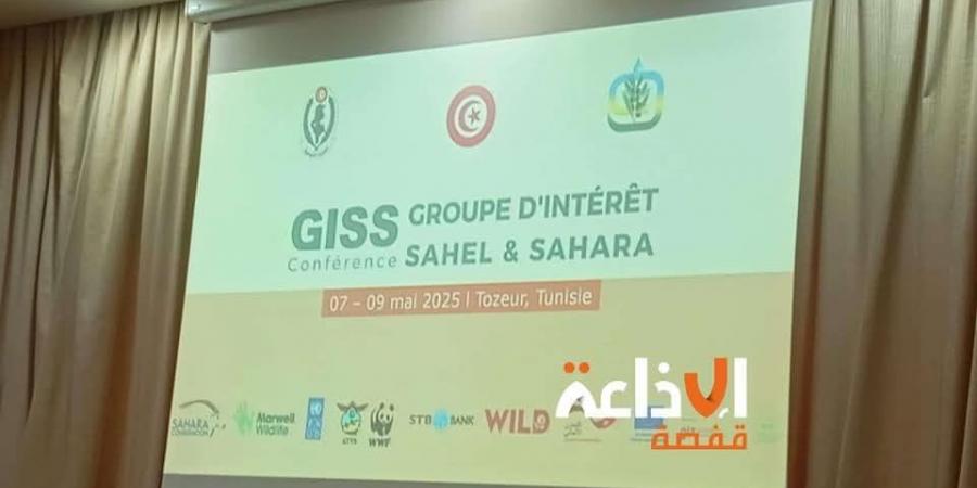 توزر: انطلاق فعاليات الورشة الدولية لتجمع خبراء دول الساحل والصحراء من أجل تبادل الخبرات في مجال التنوع البيولوجي والحفاظ على الحياة البرية
