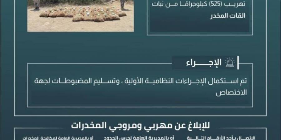 حرس الحدود بجازان يحبط تهريب 525 كلجم من نبات القات المخدر