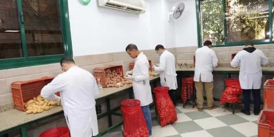 الزراعة تستعرض جهود مكافحة العفن البني