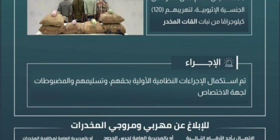 القبض على (4) مخالفين لتهريبهم (120) كجم من القات بـالدائر