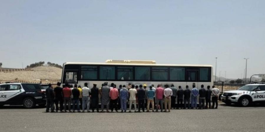 ضبط مقيم نقل (35) مقيمًا لا يحملون تصريحًا بالحج