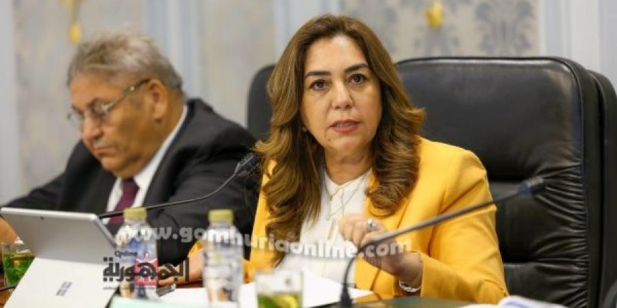 4.3 مليار جنيه موازنة التنمية المحلية للعام المالي 25 / 26