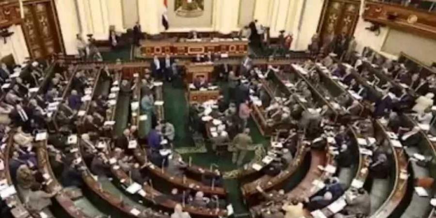 لحماية المواطنين .. النائب أيمن أبو العلا يطالب بسرعة إصدار لائحة قانون تنظيم الإعلان عن المنتجات الصحية