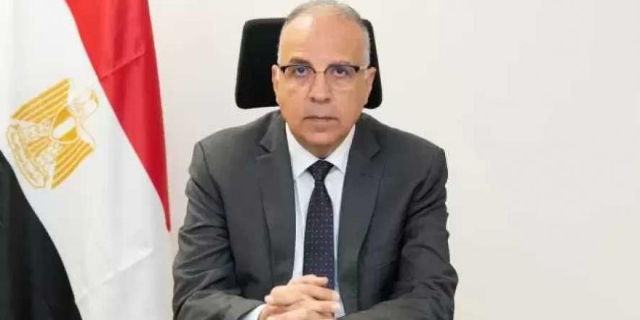 وزير الري: مصر تولي اهتمامًا بالغًا بتعزيز التعاون مع الأشقاء الأفارقة