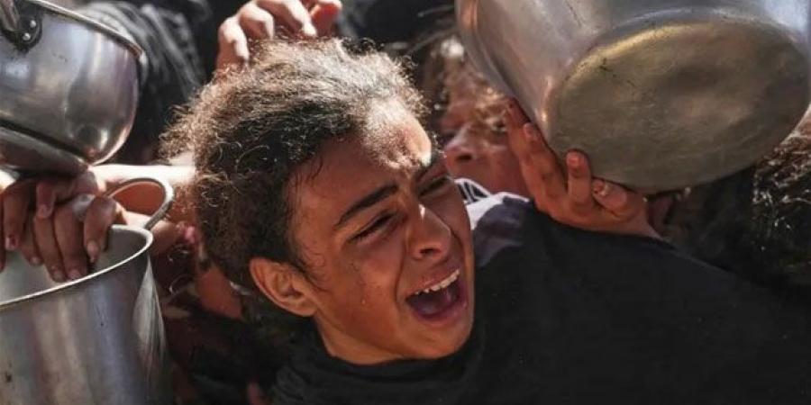 نصف مليون شخص معرضون للموت جوعاً.. تحذير من كارثة إنسانية وشيكة في غزة