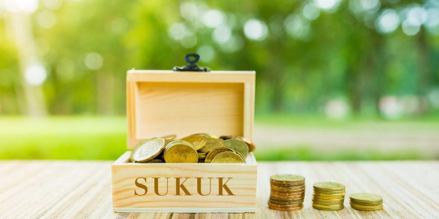 البحث عن بدائل تمويلية للشركات يعيد الزخم لإصدارات الصكوك والتوريق