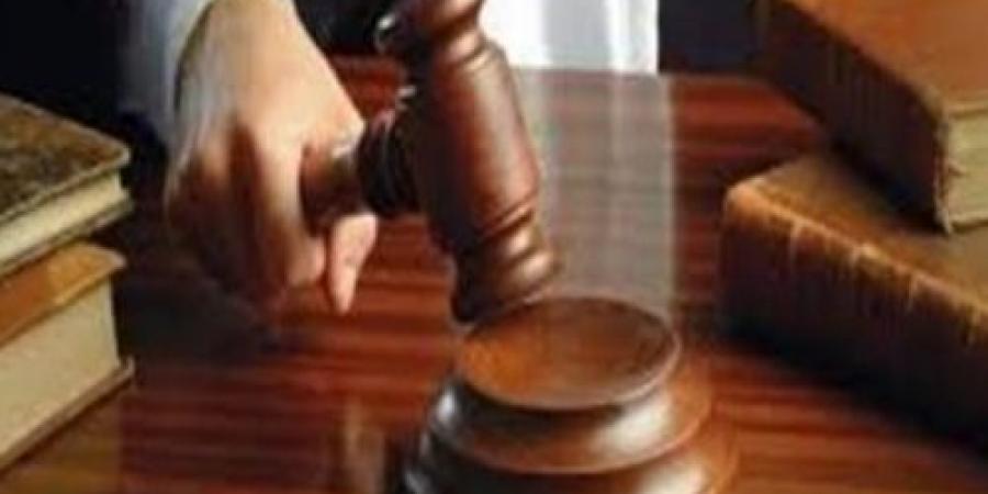 تأجيل محاكمة عامل خردة تعدى على نجلته بطوخ يوليو المقبل