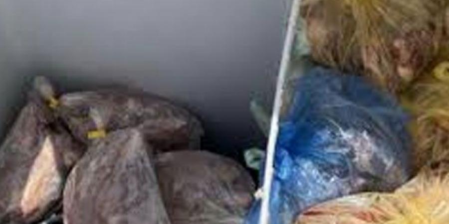 إغلاق موقع عشوائي لذبح الدجاج في بوادي جدة