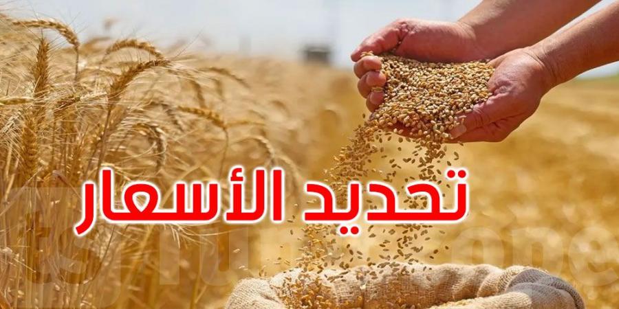 ضبط أسعار قبول الحبوب لصابة 2025
