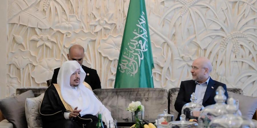 رئيس مجلس الشورى يستقبل نظيره الإيراني