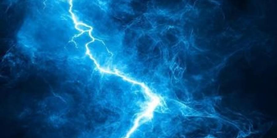 صاعقة تصيب 13 زائراً لحديقة حيوانات في فرنسا