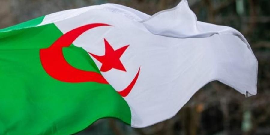 الجزائر تبحث مع إيطاليا مشروع الربط الكهربائي المباشر