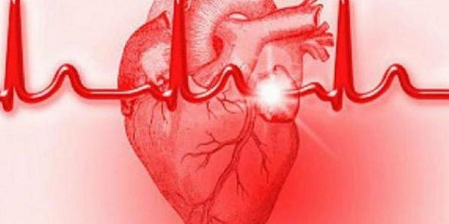 نبضات قلب المرأة والرجل .. دراسة تكشف الفروق
