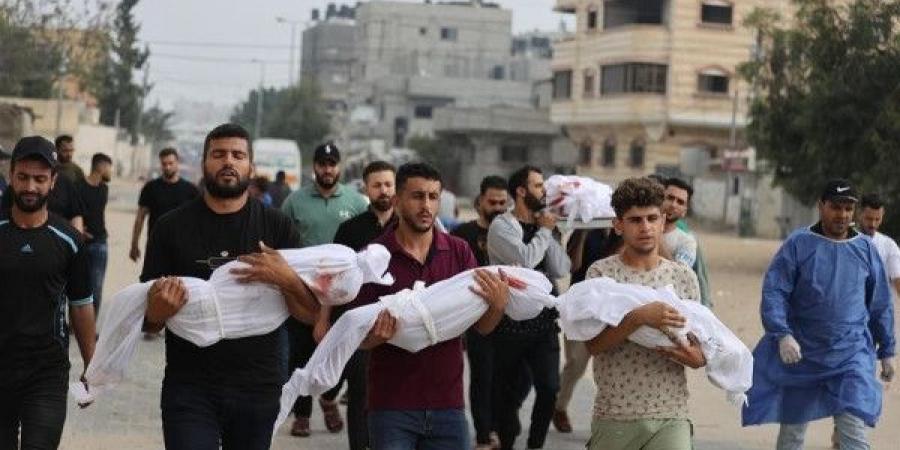 المجلس الوطني: ما يجري في غزة تطهير عرقي وإبادة جماعية