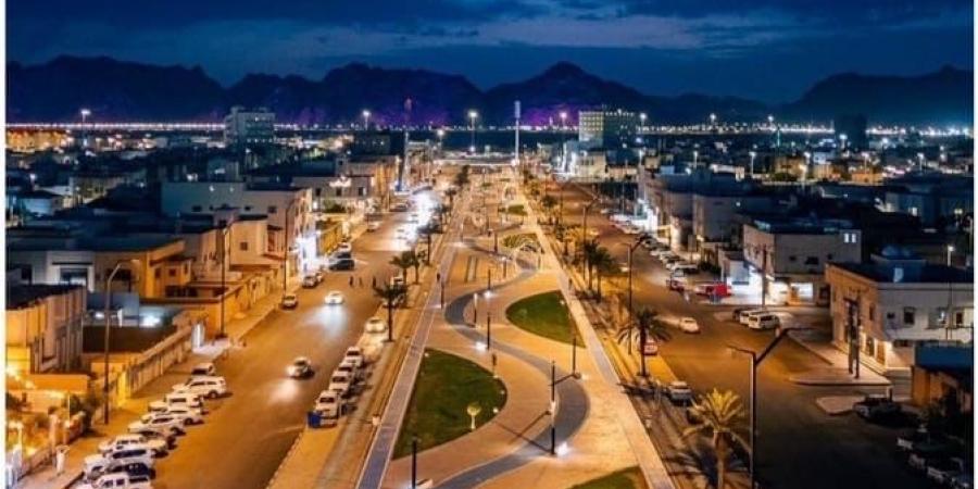 حائل وجهة استثمارية طموحة ومنصة رائدة لتعزيز النمو الاقتصادي بالوطن