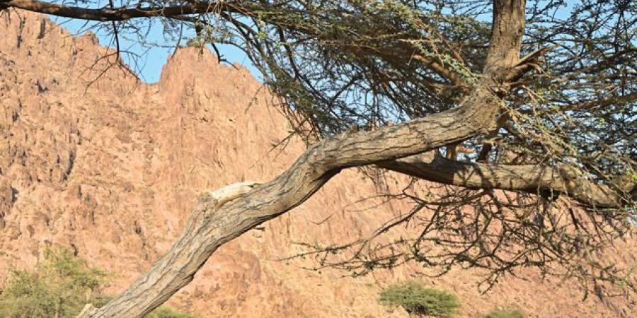 «البيضاء».. تنوّع بيولوجي يعزّز السياحة