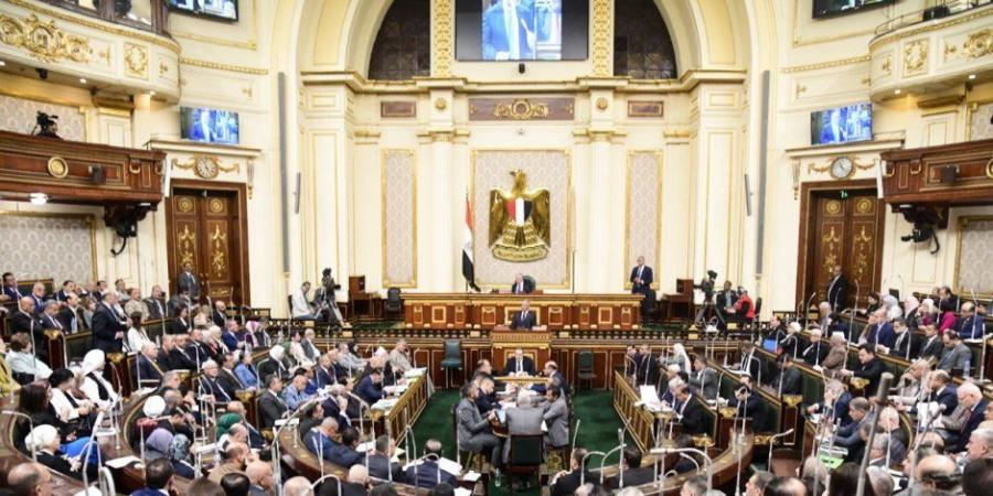 أستاذ العلوم السياسية: إعادة تقسيم الدوائر الانتخابية تحقق العدالة في التمثيل البرلماني