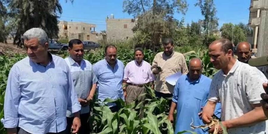 الزراعة تطلق قافلة إرشادية لدعم مزارعي كفرالشيخ